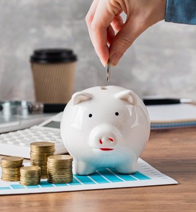 Service Provider of Tax Saving Bonds in New Delhi, Delhi, India.